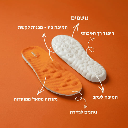 מדרסי הקסם של - Verta