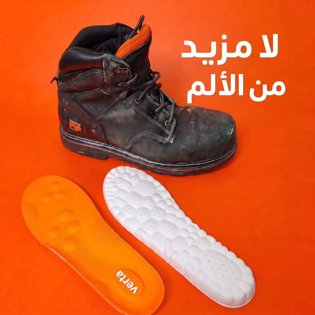 מדרסי הקסם של וורטה
